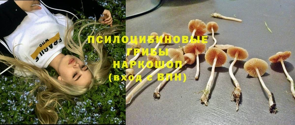 таблы Алексин